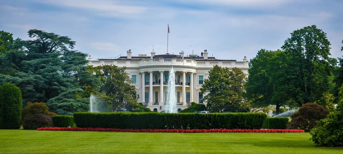 The Art Lovers Trash Trump From Ballrooms to Museums