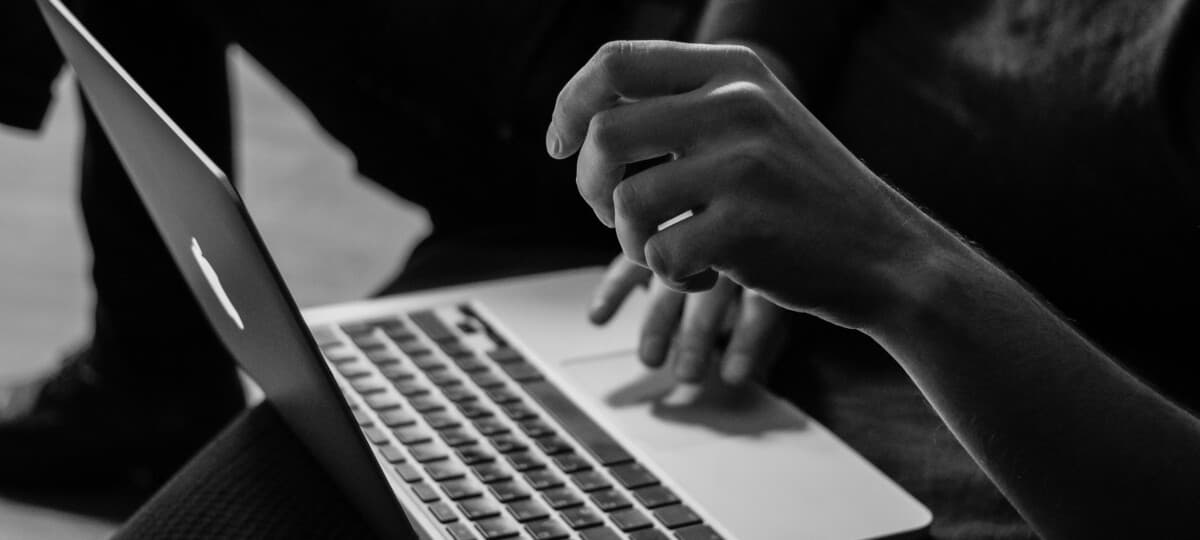 American Democracy Online: Not a Pretty Thing