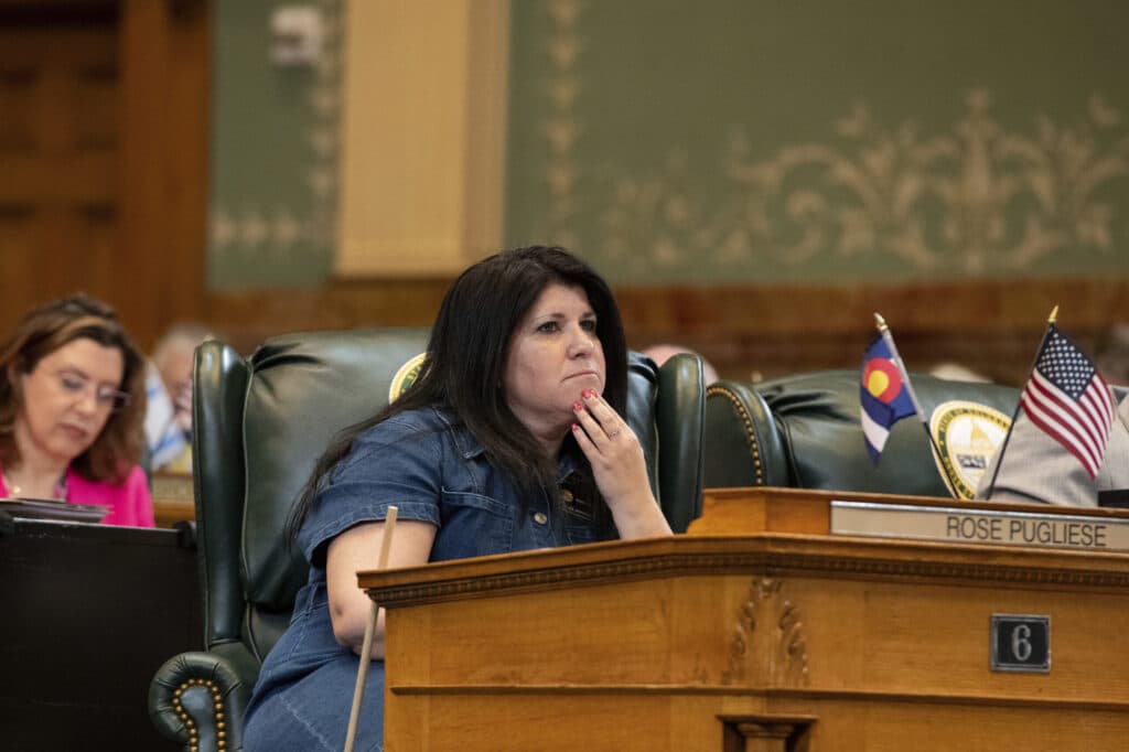 Former Rep. Rose Pugliese vies for Mesa County Treasurer